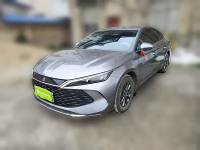 BYD Qin L · 2024 год