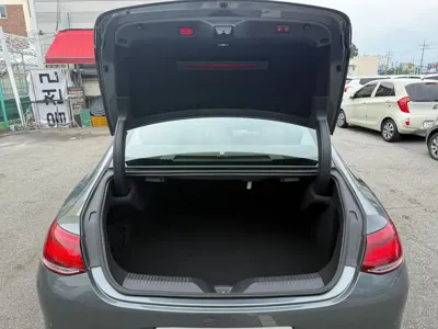 Mercedes-Benz CLS-Class 2019, 138275 км, за 19561.51 USD - фото 19