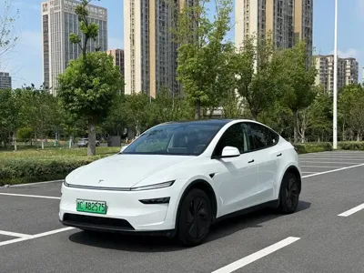 Tesla Model Y · 2025 год
