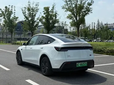 Tesla Model Y 2025, 19000 км, за 28825.22 USD - фото 6