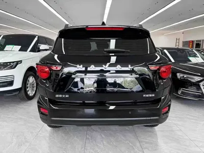 Haval 哈弗大狗 PLUS 2024, 85500 км, за 12484.51 USD