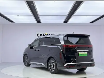 Denza Denza D9