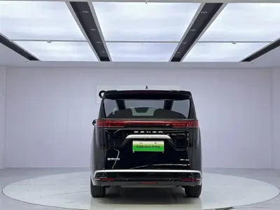 Denza Denza D9