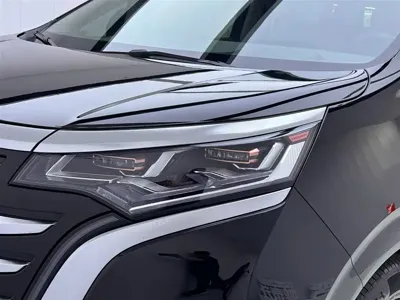 Denza Denza D9
