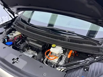 Denza Denza D9