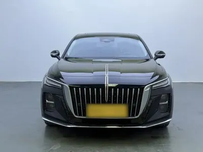 Hongqi Hongqi H5 2024, 23900 км, за 15360.91 USD - фото 16
