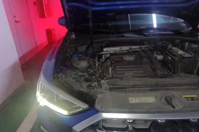 Audi Q3 2019, 129900 км, за 11694 USD - фото 24