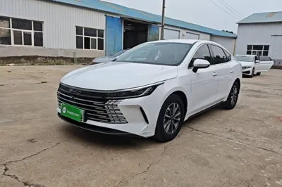 BYD Destroyer 05 · 2024 год