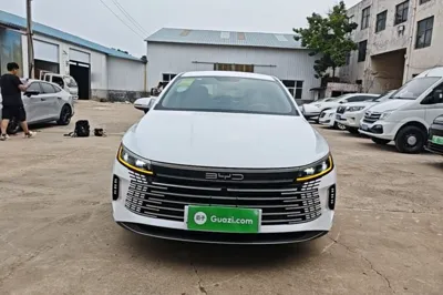 BYD Destroyer 05 2024, 29200 км, за 9360 USD