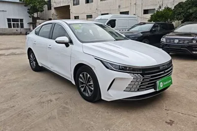 BYD Destroyer 05 2024, 29200 км, за 9360 USD