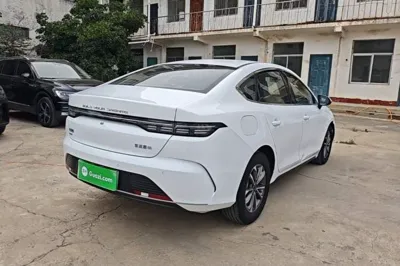 BYD Destroyer 05 2024, 29200 км, за 9360 USD - фото 6