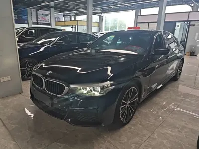 BMW 5 Series · 2019 год