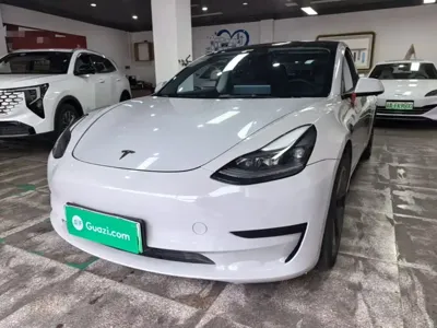 Tesla Model 3 · 2021 год