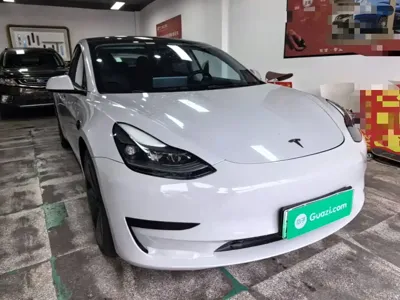 Tesla Model 3 2021, 110300 км, за 15098.22 USD