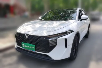 Venucia V · 2021 год