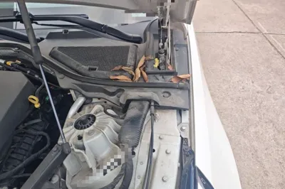 Cadillac CT6 2019, 199400 км, за 14449 USD - фото 22