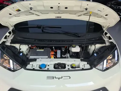 BYD Seagull 2024, 56700 км, за 6282.84 USD - фото 20