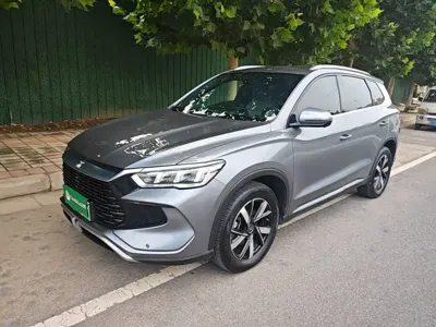 BYD Pro New Energy · 2024 год