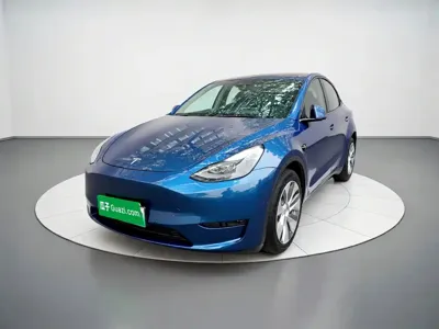 Tesla Model Y · 2021 год