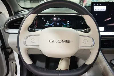 Geely Galaxy Geome 2025, 38400 км, за 11066 USD - фото 13