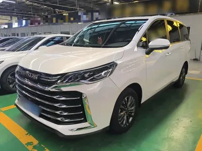 大通 G50 · 2024 год