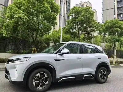 BYD Yuan Up · 2024 год