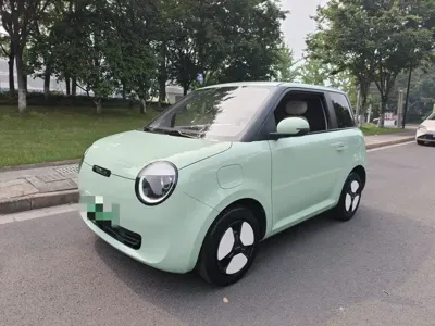 Qiyuan Lumin · 2024 год