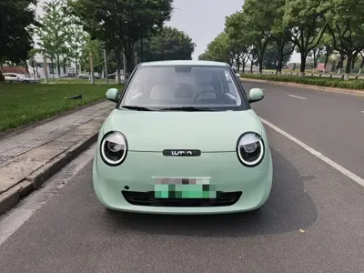 Qiyuan Lumin 2024, 31000 км, за 3501.99 USD