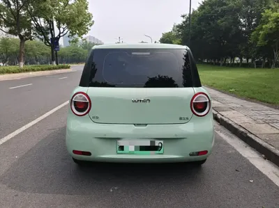 Qiyuan Lumin 2024, 31000 км, за 3501.99 USD