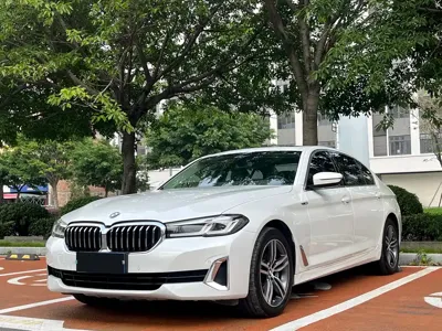 BMW 5 Series · 2020 год