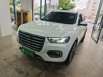 Haval H6 2019, 30099 км, за 6121.13 USD