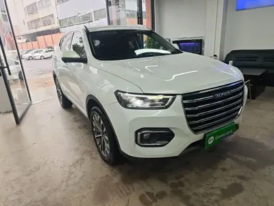 Haval H6 2019, 30099 км, за 6121.13 USD
