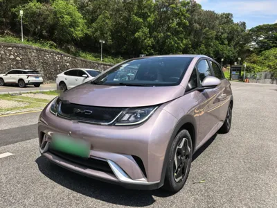 BYD Dolphin · 2021 год