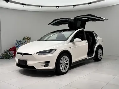 Tesla Model X · 2018 год
