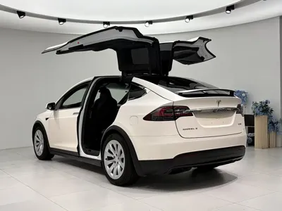 Tesla Model X 2018, 90000 км, за 27338.93 USD - фото 6