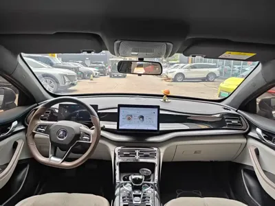 BYD Qin Plus 2024, 63000 км, за 6905.77 USD