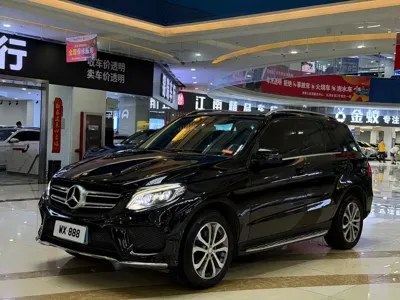 Mercedes-Benz 奔驰GLE(进口) · 2015 год