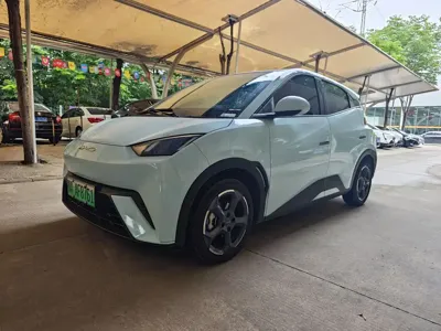 BYD Seagull · 2023 год