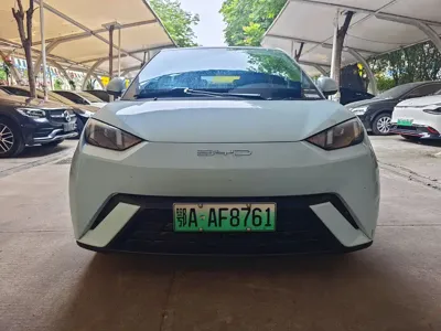 BYD Seagull 2023, 34000 км, за 6621.41 USD
