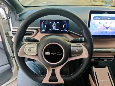 BYD Seagull 2023, 34000 км, за 6621.41 USD - фото 8