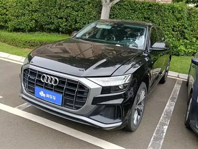 Audi Q8 · 2022 год