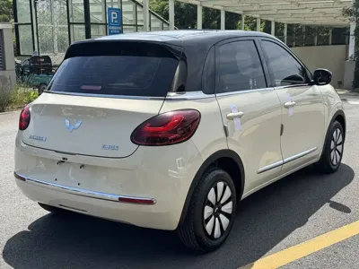 Wuling Bingo 2025, 8000 км, за 8016.37 USD - фото 19