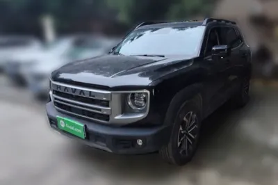 Haval Dargo · 2024 год