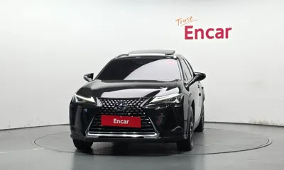 Lexus UX 2021, 89385 км, за 19450.97 USD