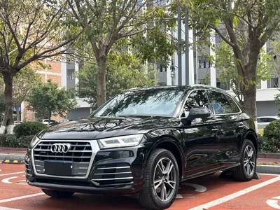 Audi Q5L · 2019 год