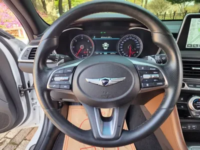 Genesis G70 2019, 165000 км, за 10174.61 USD - фото 15