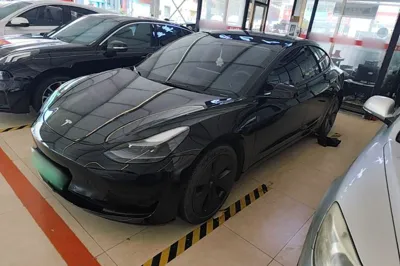 Tesla Model 3 · 2021 год