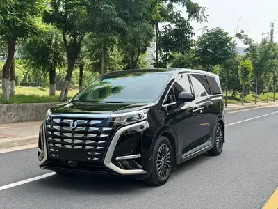 Denza Denza D9 · 2023 год