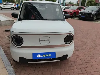 Galaxy Panda 2023, 45500 км, за 3855.13 USD