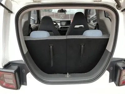 Galaxy Panda 2023, 45500 км, за 3855.13 USD